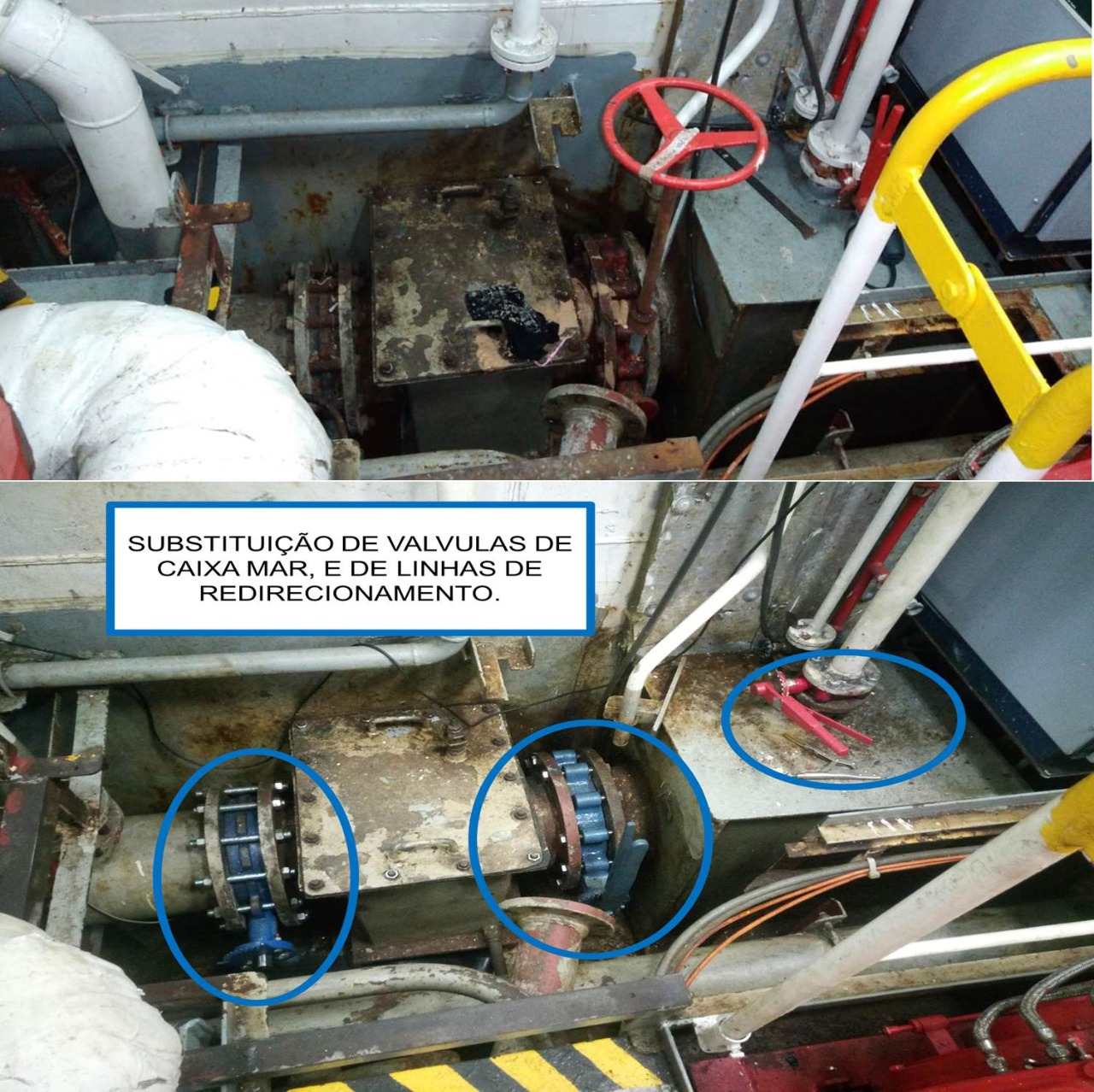 WhatsApp Image 2022-08-05 at 12.41.31 (8).jpeg